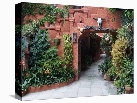 Villa Entrance to Garden, San Miguel De Allende, Mexico-Nancy Rotenberg-Premier Image Canvas