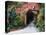 Villa Entrance to Garden, San Miguel De Allende, Mexico-Nancy Rotenberg-Premier Image Canvas