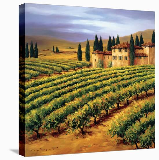 Villa in the Vinyards of Tuscany-Tim Howe-Premier Image Canvas