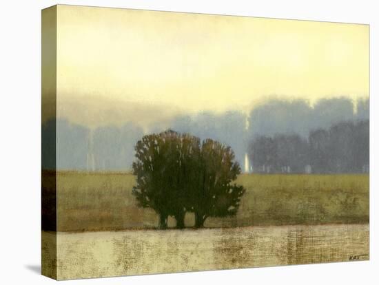 Villa Park I-Norman Wyatt Jr.-Stretched Canvas