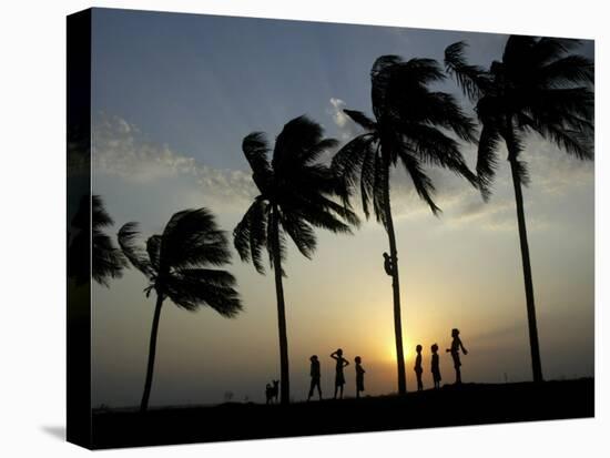 Village Boy Climbs a Coconut Tree as Others Wait Below on the Outskirts of Bhubaneshwar, India-null-Premier Image Canvas