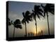 Village Boy Climbs a Coconut Tree as Others Wait Below on the Outskirts of Bhubaneshwar, India-null-Premier Image Canvas