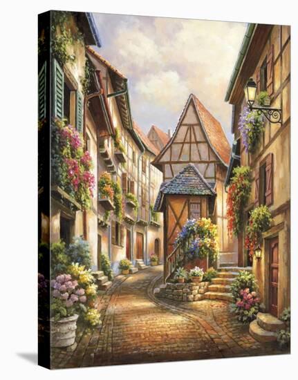 Village Court-Sung Kim-Stretched Canvas