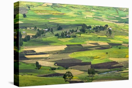 Village house and farmland in the mountain, Gondar, Ethiopia-Keren Su-Premier Image Canvas