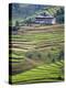 Village House and Rice Terraces in Metshina Village, Bhutan-Keren Su-Premier Image Canvas