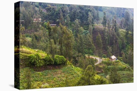 Village in the Mountain, Bromo Tengger Semeru NP, East Java, Indonesia-Keren Su-Premier Image Canvas