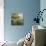 Village Pond-Hulsey-Stretched Canvas displayed on a wall