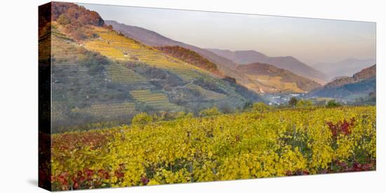 Village Spitz Nested in the Vineyards of the Wachau. Austria-Martin Zwick-Premier Image Canvas