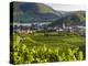 Village Spitz Nested in the Vineyards of the Wachau. Austria-Martin Zwick-Premier Image Canvas