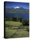 Villarrica Volcano, Chile-null-Premier Image Canvas