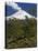 Villarrica Volcano, Villarrica National Park, Chile-Scott T. Smith-Premier Image Canvas