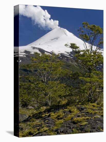 Villarrica Volcano, Villarrica National Park, Chile-Scott T. Smith-Premier Image Canvas