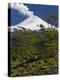 Villarrica Volcano, Villarrica National Park, Chile-Scott T. Smith-Premier Image Canvas