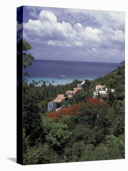 Villas on the Hillside, Saint Croix, Caribbean-Greg Johnston-Premier Image Canvas