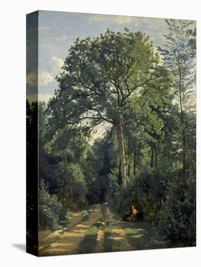 Ville D'Avray: Entrance to the Wood, C.1825-Jean-Baptiste-Camille Corot-Premier Image Canvas