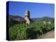 Vines in Vineyards and Tower of the Church of Ste. Croix, Kaysersberg, Haut-Rhin, Alsace, France-Ruth Tomlinson-Premier Image Canvas