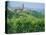 Vines in Vineyards Around Barbaresco, the Langhe, Piemonte (Piedmont), Italy, Europe-Sheila Terry-Premier Image Canvas