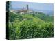 Vines in Vineyards Around Barbaresco, the Langhe, Piemonte (Piedmont), Italy, Europe-Sheila Terry-Premier Image Canvas