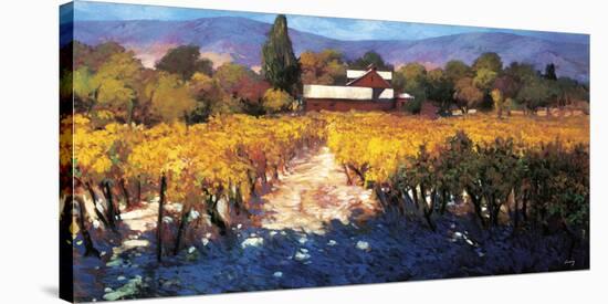 Vineyard Afternoon-Philip Craig-Stretched Canvas