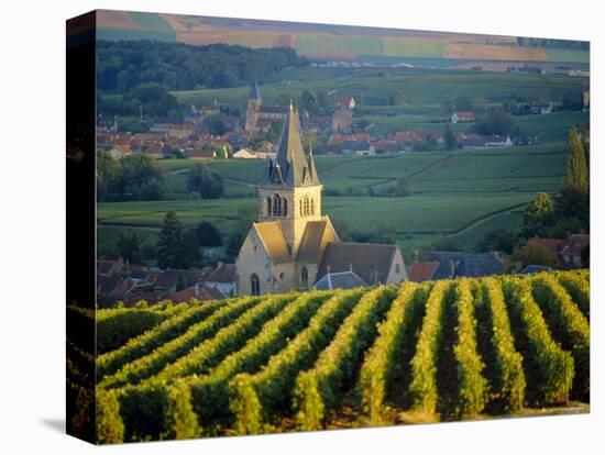 Vineyard and Church, Ville Dommange, Champagne, France-John Miller-Premier Image Canvas