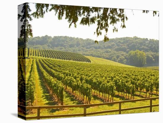 Vineyard and Valley with Forest, Chateau Carignan, Premieres Cotes De Bordeaux, France-Per Karlsson-Premier Image Canvas
