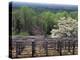 Vineyard at Monticello, Thomas Jefferson's Home in Charlottesville, Virginia-null-Premier Image Canvas