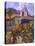 Vineyard at San Miguel-Clif Hadfield-Stretched Canvas