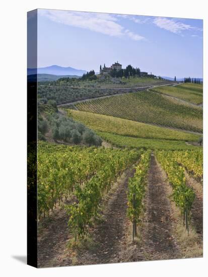 Vineyard, Chianti, Italy-Rob Tilley-Premier Image Canvas