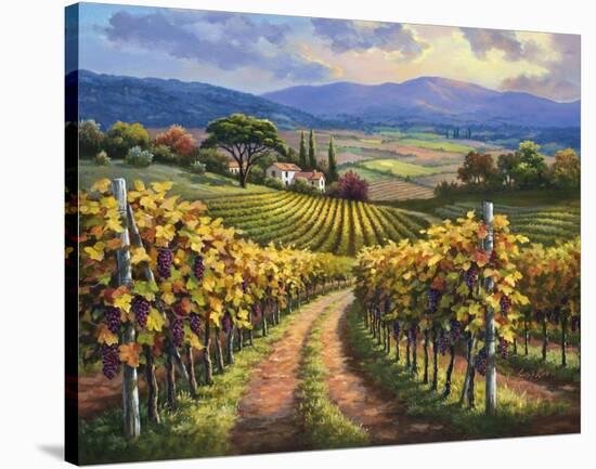 Vineyard Hill I-Sung Kim-Stretched Canvas