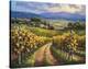 Vineyard Hill I-Sung Kim-Stretched Canvas