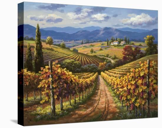 Vineyard Hill II-Sung Kim-Stretched Canvas