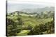 Vineyard In Foothills Of The Mayacamas Mts Overlooking Alexander Valley In Healdsburg, California-Ron Koeberer-Premier Image Canvas