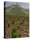 Vineyard in stony soil with San Vicente de la Sonsierra Village, La Rioja, Spain-Janis Miglavs-Premier Image Canvas