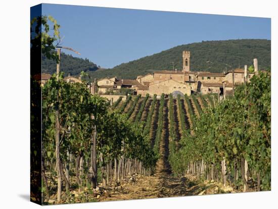 Vineyard in the Chianti Classico Region North of Siena, Tuscany, Italy, Europe-Short Michael-Premier Image Canvas