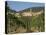 Vineyard in the Chianti Classico Region North of Siena, Tuscany, Italy, Europe-Short Michael-Premier Image Canvas