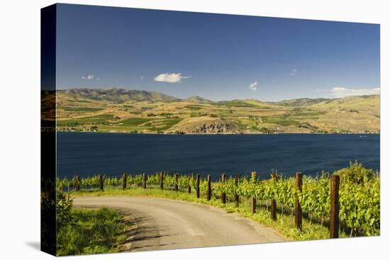 Vineyard in the Lake Chelan AVA, Washington, USA-Richard Duval-Premier Image Canvas