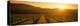 Vineyard, Napa Valley, California, USA-null-Premier Image Canvas