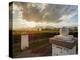 Vineyard of Bodega Viamonte, sunset, Lujan de Cuyo, Mendoza Province, Argentina, South America-Karol Kozlowski-Premier Image Canvas