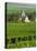 Vineyard, Oger, Champagne, France, Europe-John Miller-Premier Image Canvas