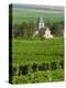 Vineyard, Oger, Champagne, France, Europe-John Miller-Premier Image Canvas