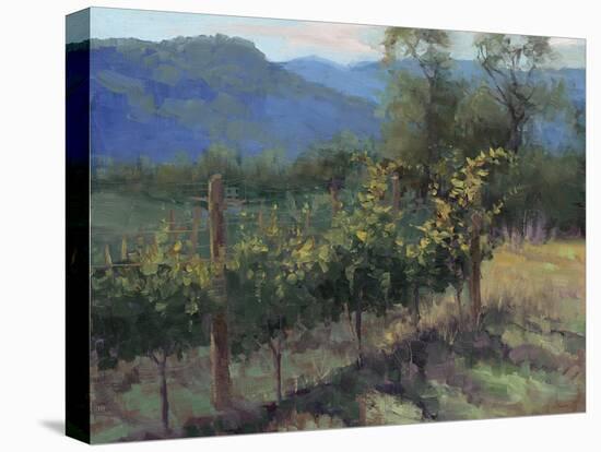 Vineyard On The Hill-Jill Schultz McGannon-Stretched Canvas