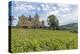 Vineyard, Pierreclos, Maconnaise, Burgundy, France-Jim Engelbrecht-Premier Image Canvas