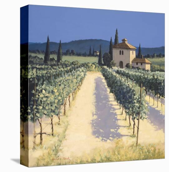 Vineyard Shadows-David Short-Stretched Canvas