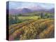 Vineyard Tapestry I-Nanette Oleson-Stretched Canvas