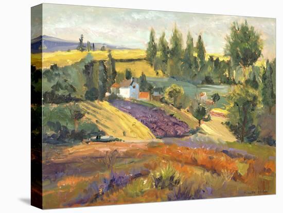 Vineyard Tapestry II-Nanette Oleson-Stretched Canvas