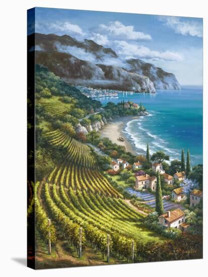 Vineyard Village by the Sea-Sung Kim-Stretched Canvas