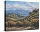Vineyard Village-Sung Kim-Stretched Canvas