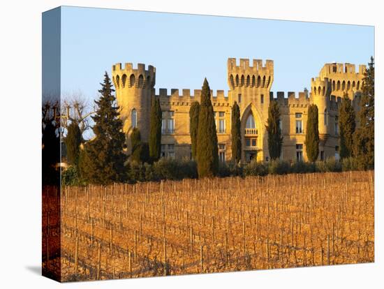 Vineyard with Syrah Vines and Chateau Des Fines Roches, Chateauneuf-Du-Pape, Vaucluse-Per Karlsson-Premier Image Canvas