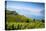 Vineyards Above Vevey, Lake Geneva, Vaud, Switzerland-Jon Arnold-Premier Image Canvas