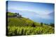 Vineyards Above Vevey, Lake Geneva, Vaud, Switzerland-Jon Arnold-Premier Image Canvas